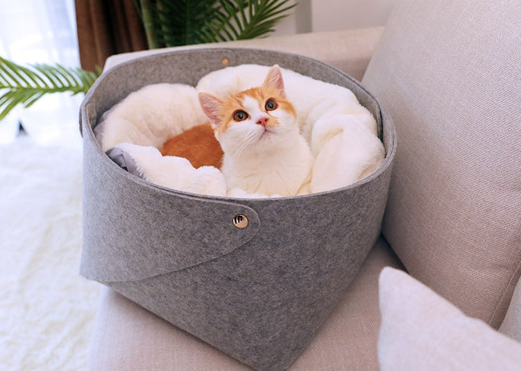 The Ultimate Pet Bed for Your Furry Friends